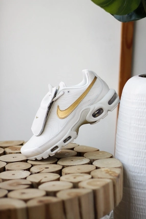 AIR MAX PLUS PHANTOM