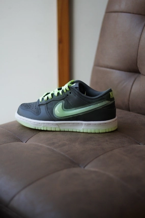 DUNK LOW (GS) IRON GREY